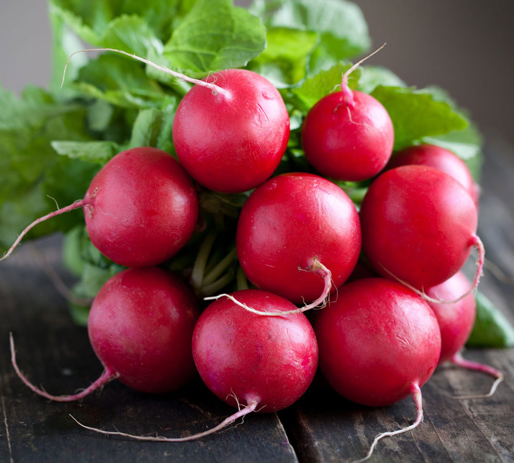 Red Radish