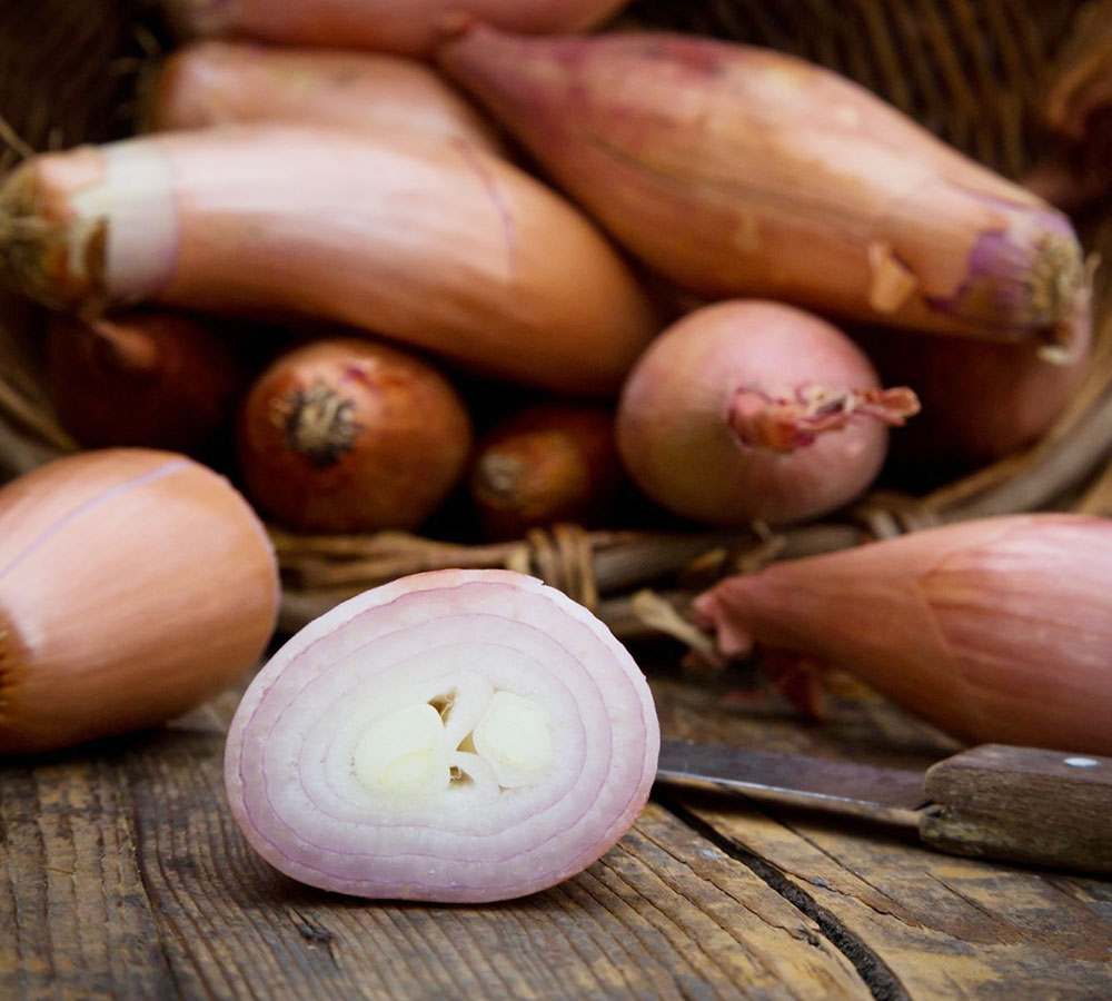 Shallots Onion