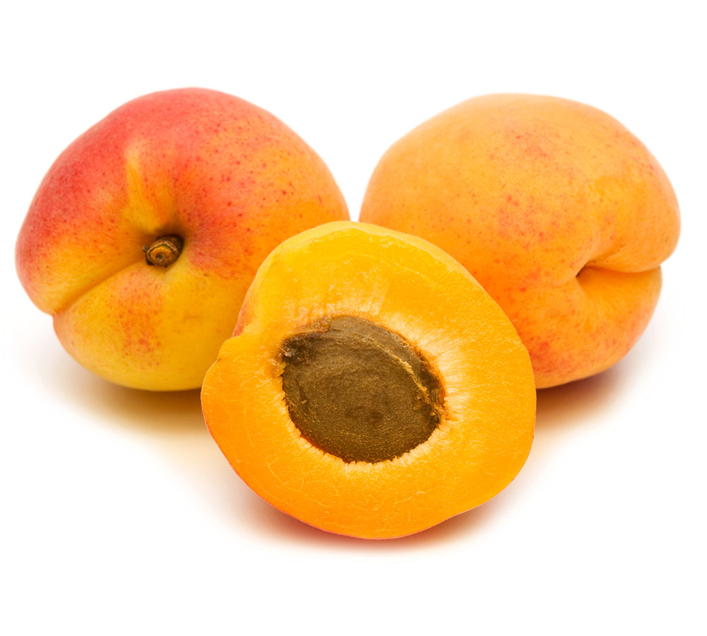 Apricot Exporters