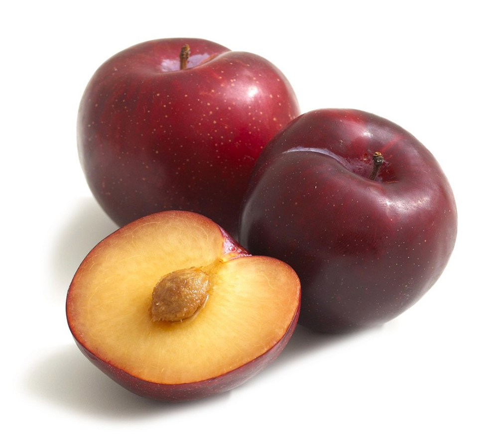 Plums – Angelino Exporters