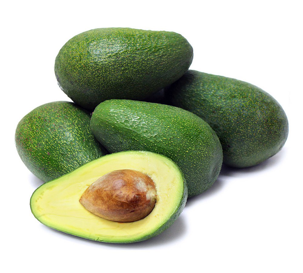 Avocados Fuerte Exporters