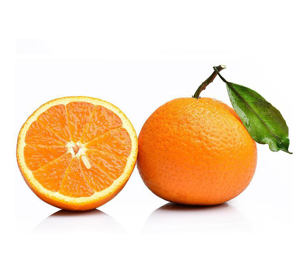 Navel Citrus Exporters