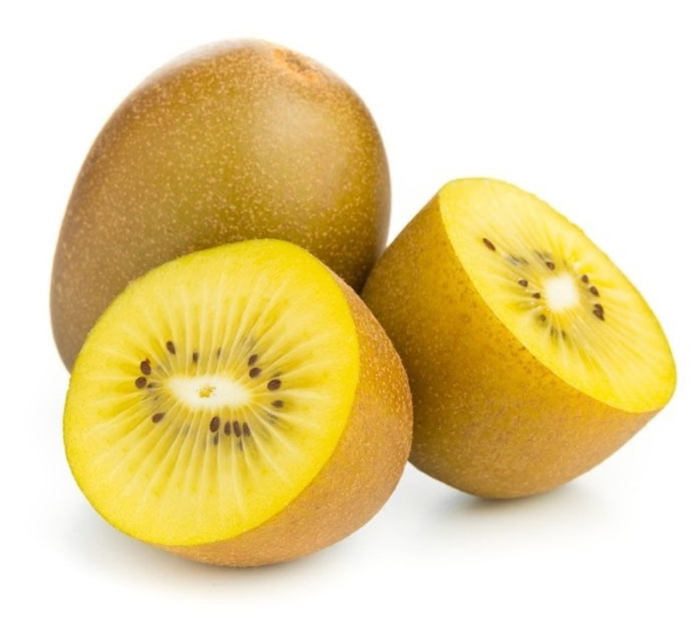 Gold Kiwi Exporters