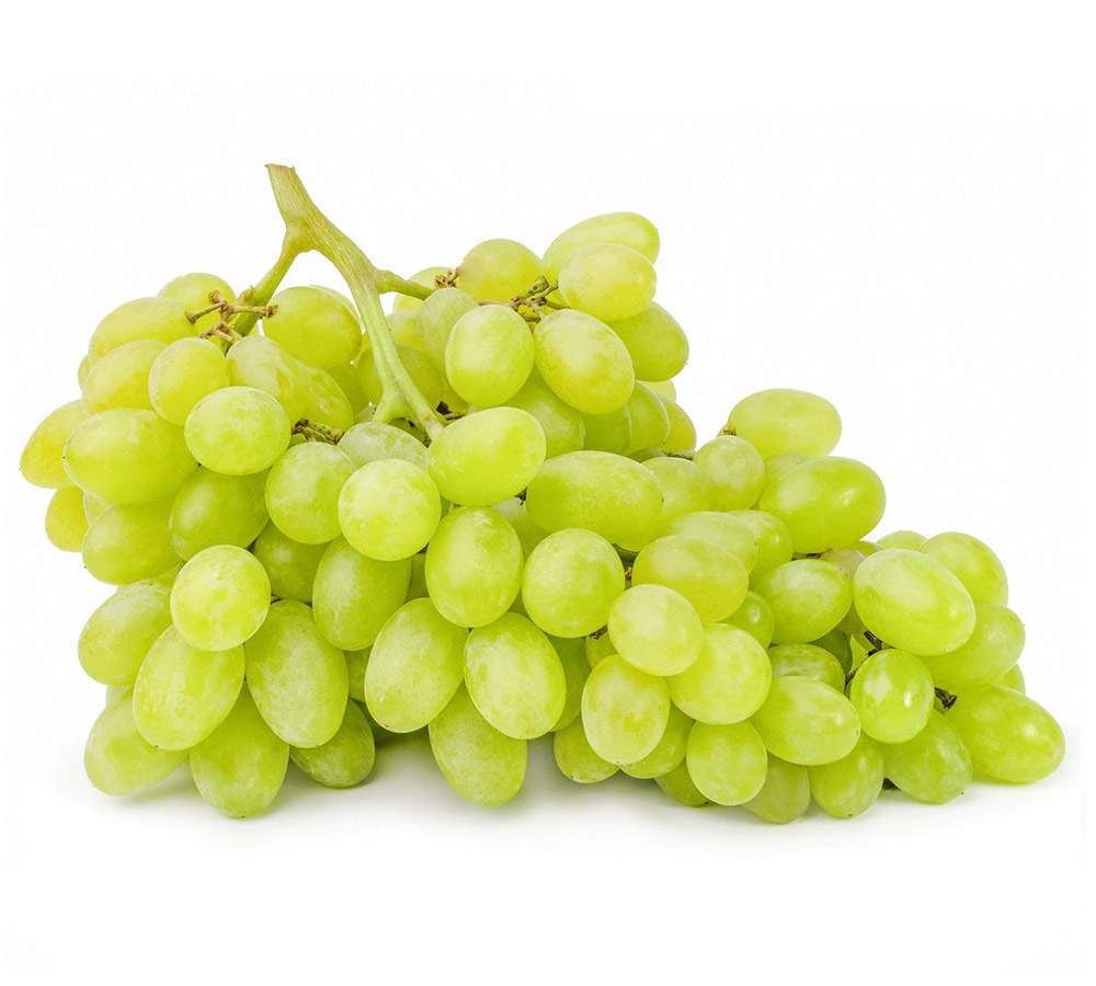 Green Seedless Grapes Exporters