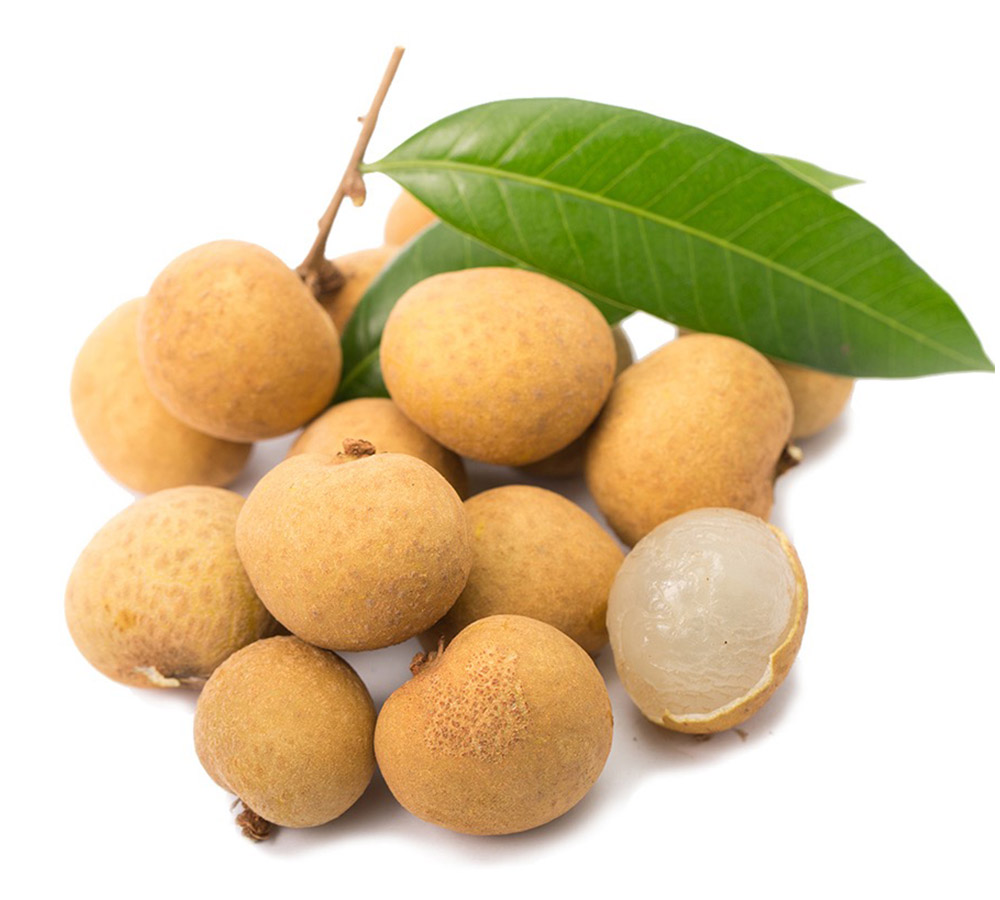 Longan Fruit Exporters