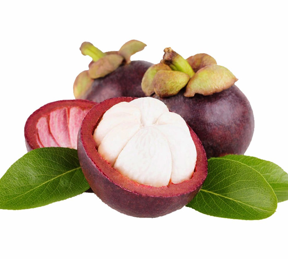 Mangosteen Fruit Exporters