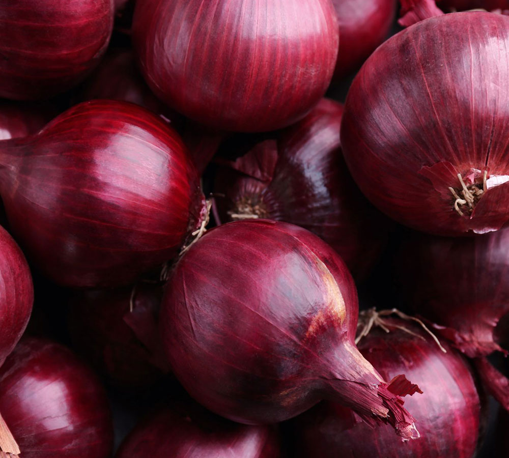 Onion Red